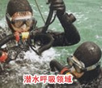成功秋葵IOS下载APP安装官方网站